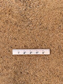 #1 Mason Sand