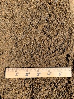plaster sand sf
